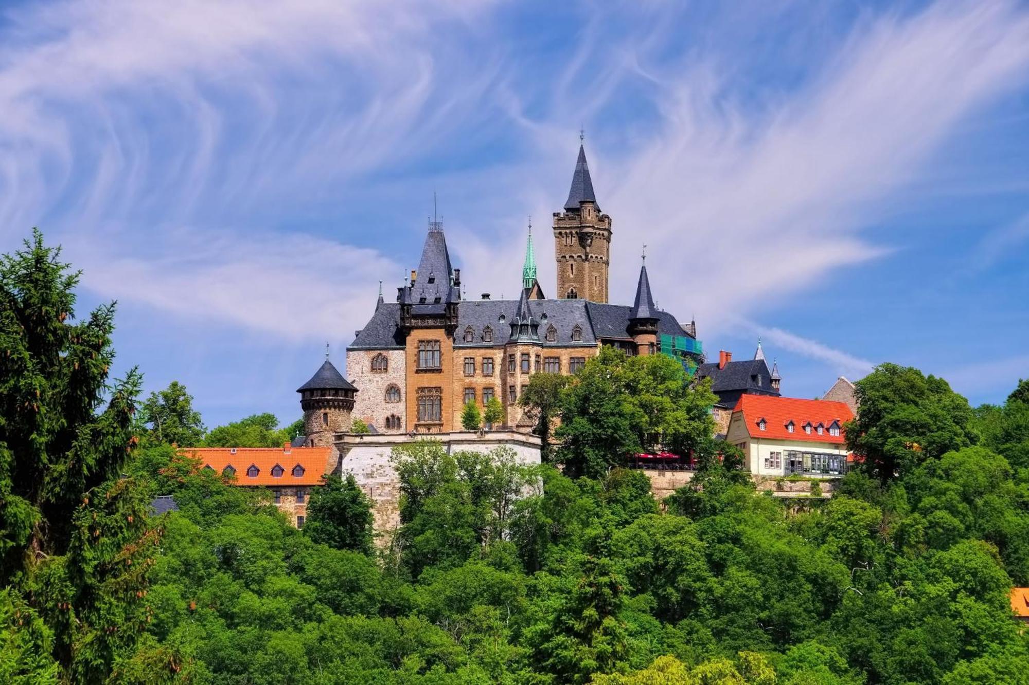 Fewo Rubezahl Mit Kamin Appartement Bad Harzburg Buitenkant foto